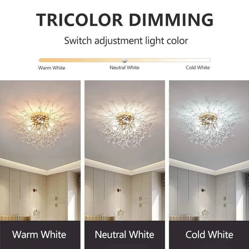 Dandelion Crystal Ceiling Light - Act Design Shop