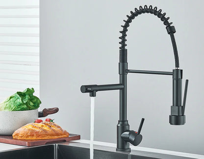 Dual Spout Kitchen Faucet with Pull-Out Spring Sprayer – Chrome | Mixer Tap