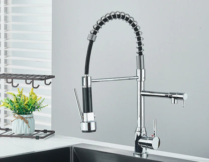 Dual Spout Kitchen Faucet with Pull-Out Spring Sprayer – Chrome | Mixer Tap
