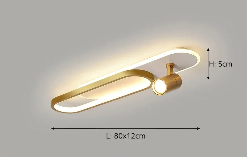 Dimbare led-plafondlamp met spotlight – 60/80/100/120 cm | Zwart, wit of goud