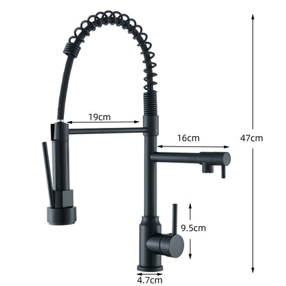 Dual Spout Kitchen Faucet with Pull-Out Spring Sprayer – Chrome | Mixer Tap