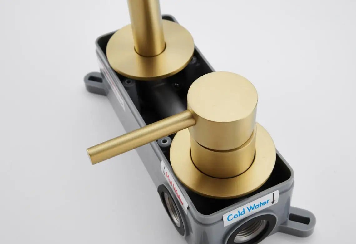 RVS badkamerkraan - Wandmengkraan met warm en koud water