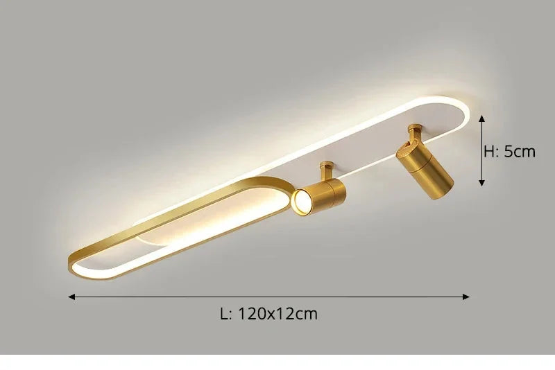 Dimbare led-plafondlamp met spotlight – 60/80/100/120 cm | Zwart, wit of goud