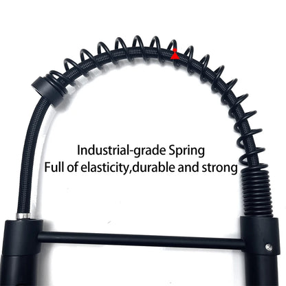 Küchenarmatur aus Edelstahl – Ausziehbarer Federauslauf mit 360°-Drehung | Mattschwarz