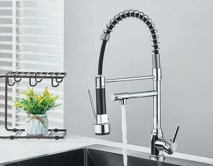 Dual Spout Kitchen Faucet with Pull-Out Spring Sprayer – Chrome | Mixer Tap