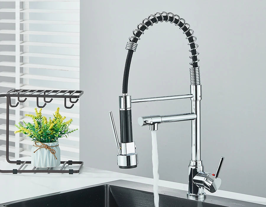 Dual Spout Kitchen Faucet with Pull-Out Spring Sprayer – Chrome | Mixer Tap