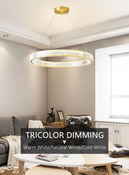 Kristallen kroonluchter met dubbele ringen 55 cm - Hanglamp