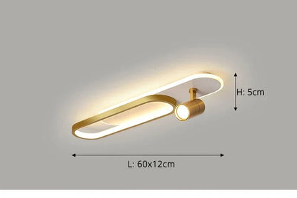 Dimbare led-plafondlamp met spotlight – 60/80/100/120 cm | Zwart, wit of goud
