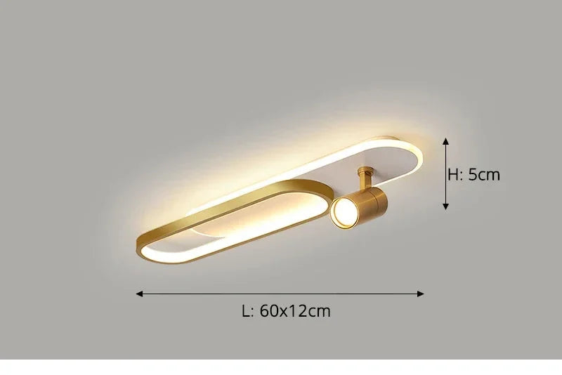 Dimbare led-plafondlamp met spotlight – 60/80/100/120 cm | Zwart, wit of goud